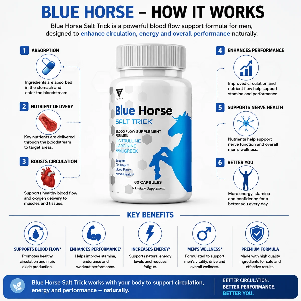 How Blue Horse works